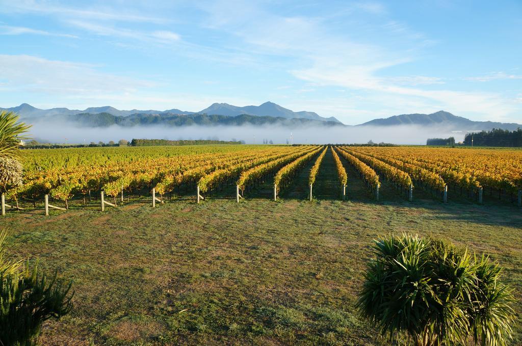 Straw Lodge Vineyard And Boutique Lodging Renwick Quarto foto