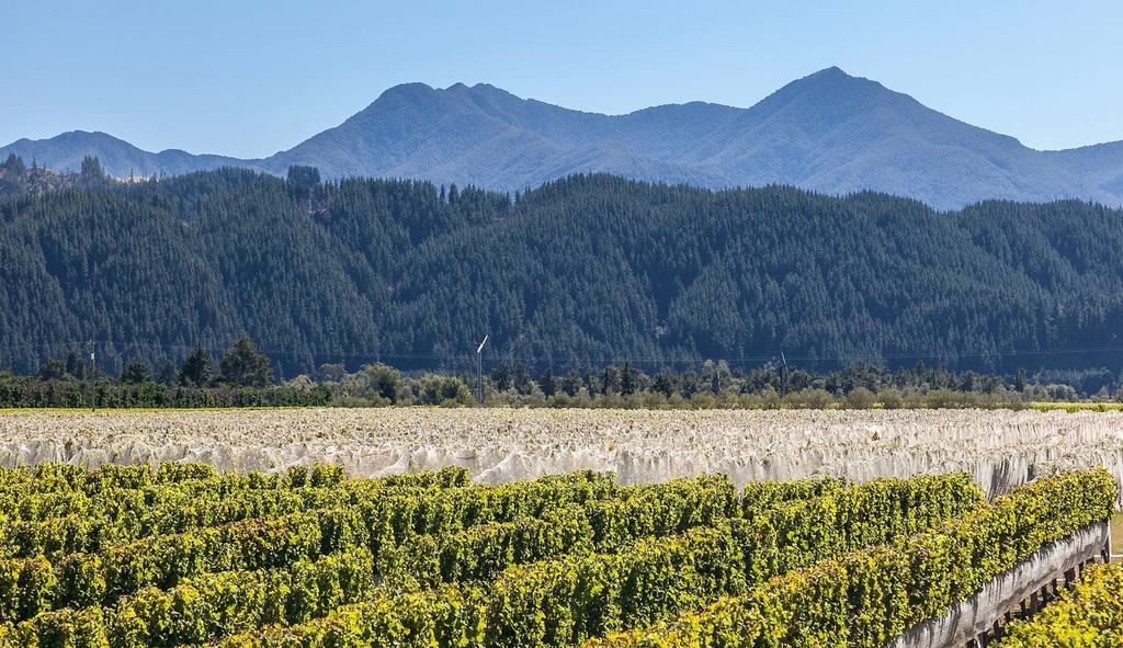 Straw Lodge Vineyard And Boutique Lodging Renwick Exterior foto
